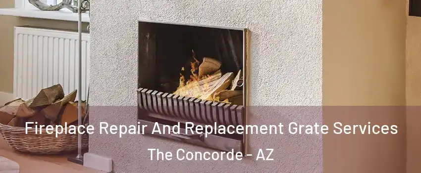 Fireplace Repair And Replacement Grate Services The Concorde - AZ