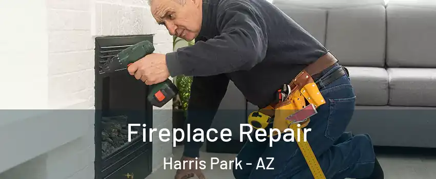 Fireplace Repair Harris Park - AZ