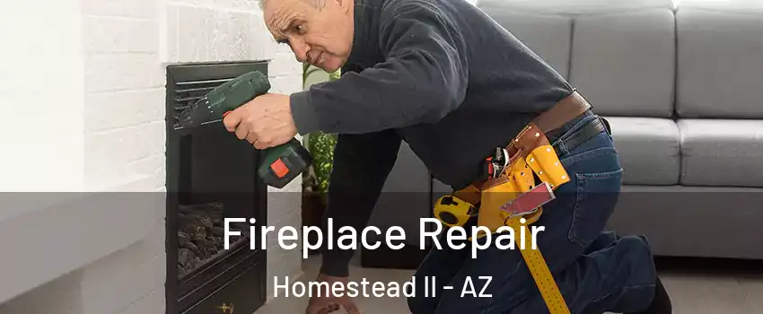 Fireplace Repair Homestead II - AZ