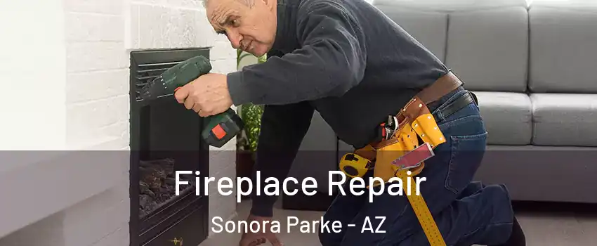 Fireplace Repair Sonora Parke - AZ