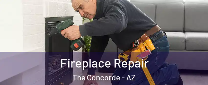 Fireplace Repair The Concorde - AZ