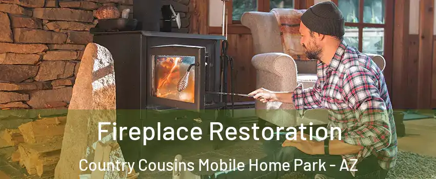 Fireplace Restoration Country Cousins Mobile Home Park - AZ