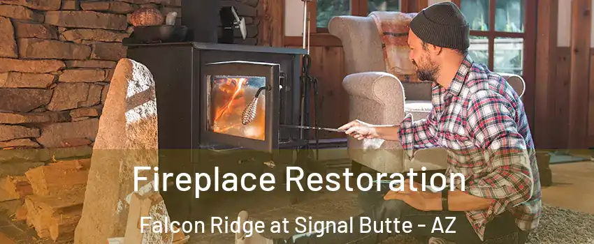 Fireplace Restoration Falcon Ridge at Signal Butte - AZ