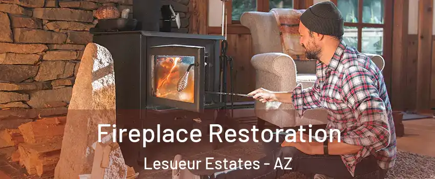 Fireplace Restoration Lesueur Estates - AZ