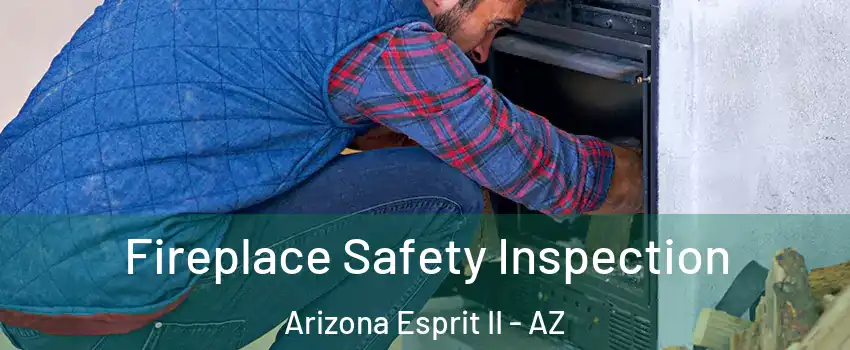 Fireplace Safety Inspection Arizona Esprit II - AZ