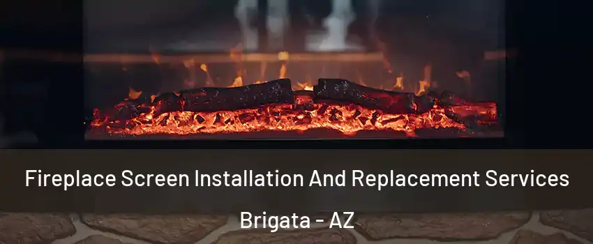 Fireplace Screen Installation And Replacement Services Brigata - AZ