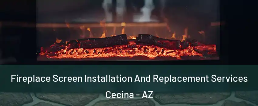 Fireplace Screen Installation And Replacement Services Cecina - AZ