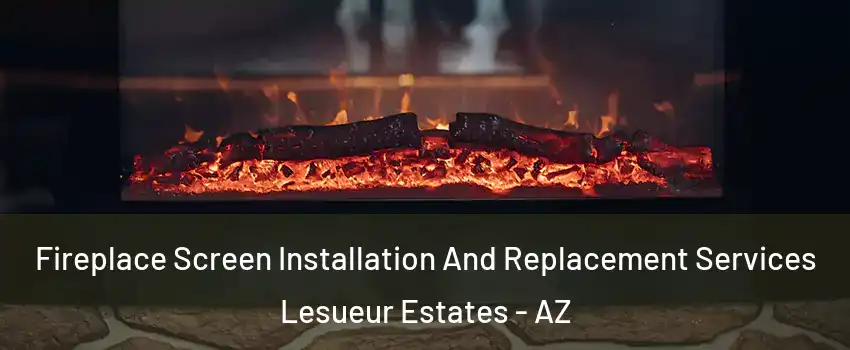Fireplace Screen Installation And Replacement Services Lesueur Estates - AZ