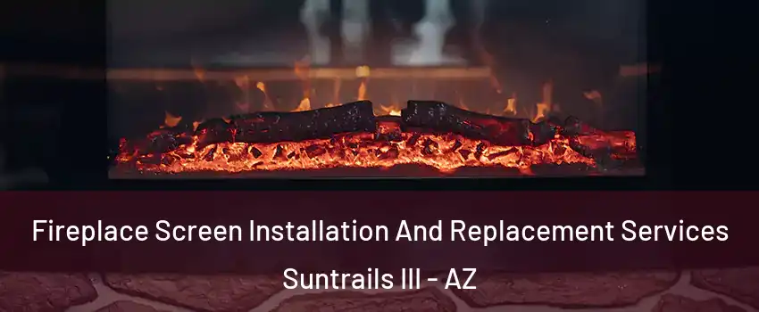 Fireplace Screen Installation And Replacement Services Suntrails III - AZ