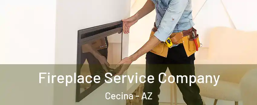 Fireplace Service Company Cecina - AZ