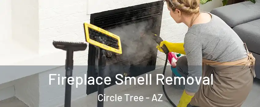 Fireplace Smell Removal Circle Tree - AZ
