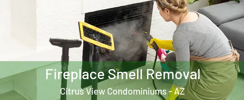 Fireplace Smell Removal Citrus View Condominiums - AZ