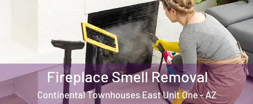 Fireplace Smell Removal Continental Townhouses East Unit One - AZ