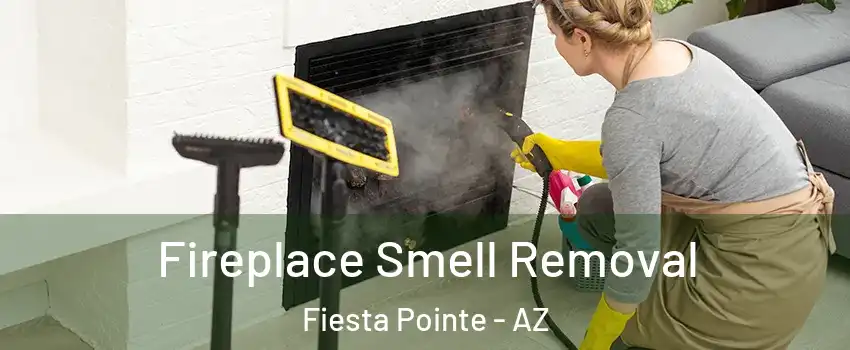 Fireplace Smell Removal Fiesta Pointe - AZ