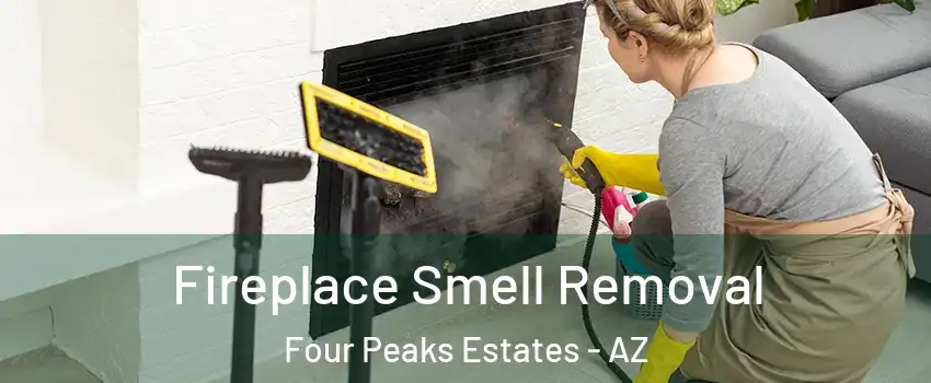Fireplace Smell Removal Four Peaks Estates - AZ