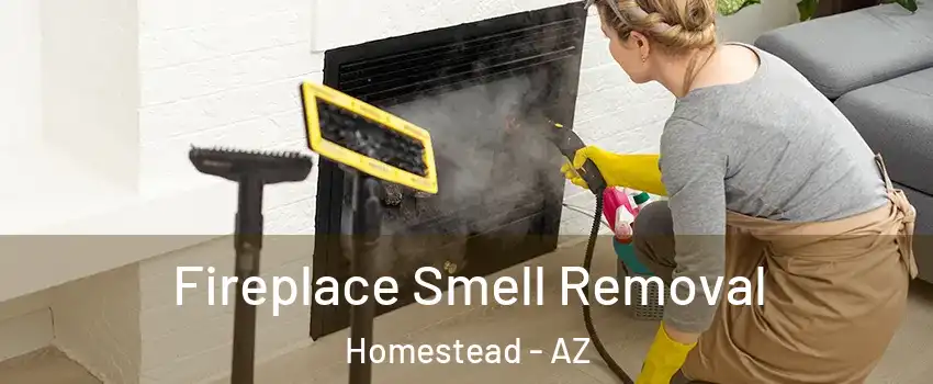 Fireplace Smell Removal Homestead - AZ