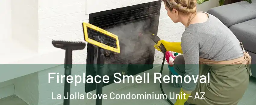 Fireplace Smell Removal La Jolla Cove Condominium Unit - AZ