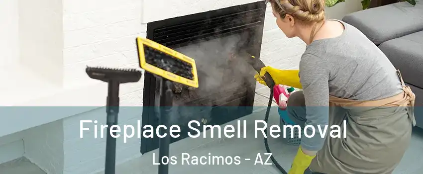 Fireplace Smell Removal Los Racimos - AZ