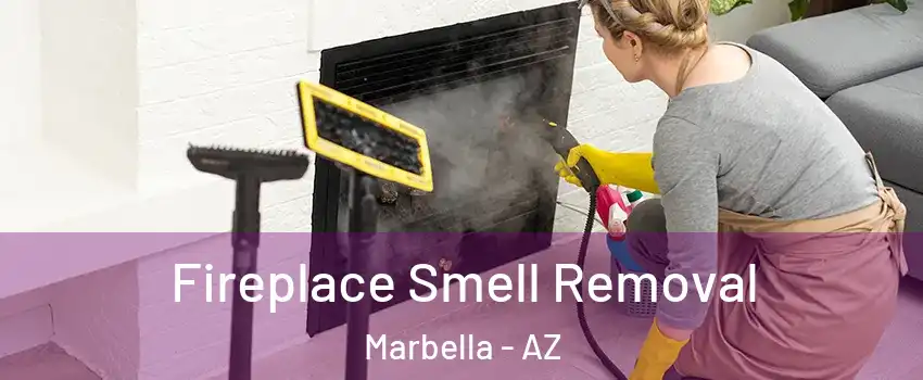 Fireplace Smell Removal Marbella - AZ