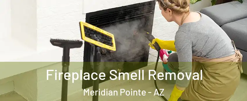 Fireplace Smell Removal Meridian Pointe - AZ