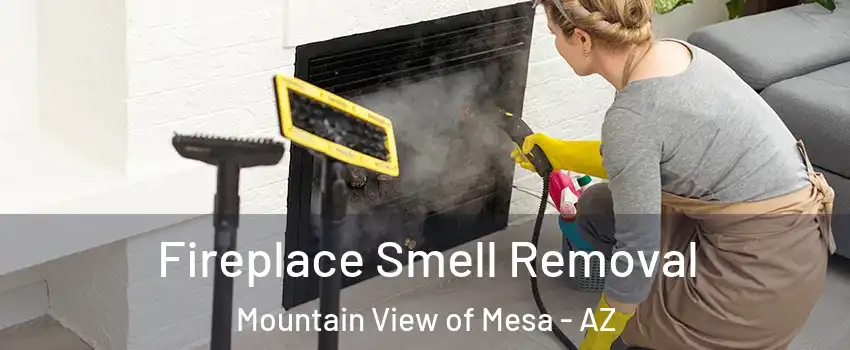 Fireplace Smell Removal Mountain View of Mesa - AZ
