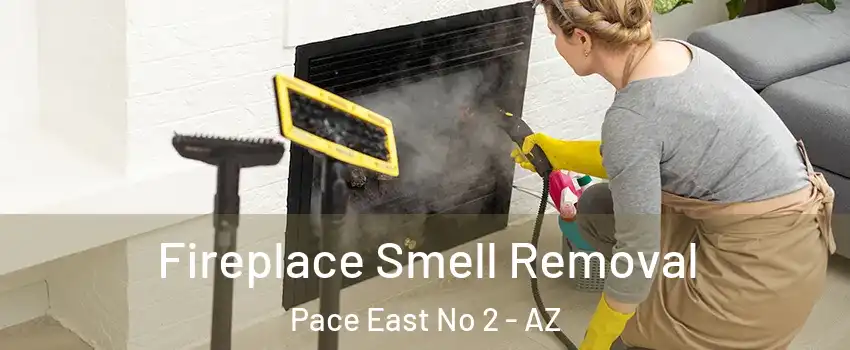 Fireplace Smell Removal Pace East No 2 - AZ