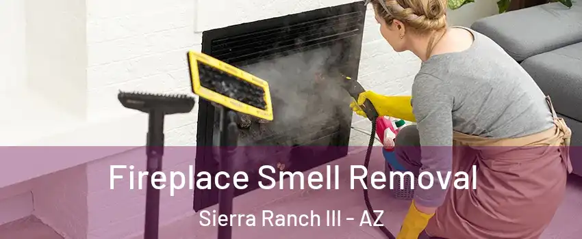 Fireplace Smell Removal Sierra Ranch III - AZ