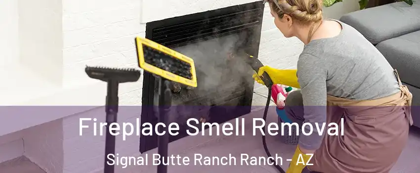 Fireplace Smell Removal Signal Butte Ranch Ranch - AZ