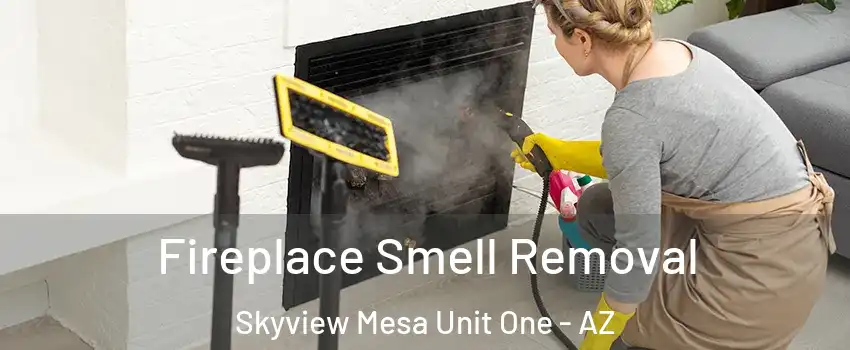 Fireplace Smell Removal Skyview Mesa Unit One - AZ