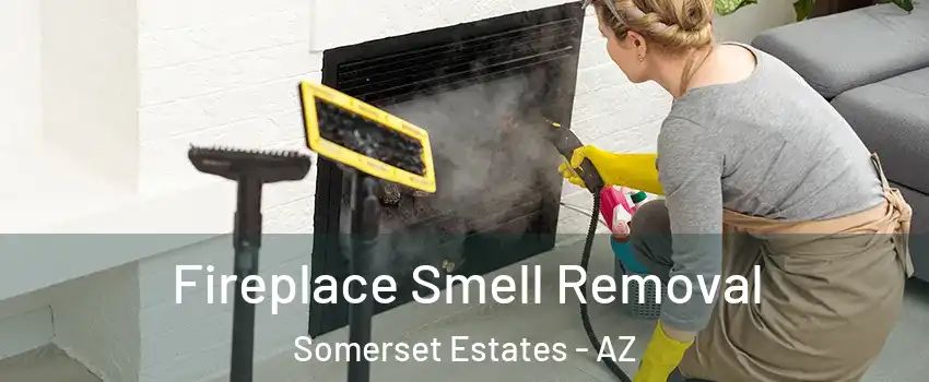 Fireplace Smell Removal Somerset Estates - AZ
