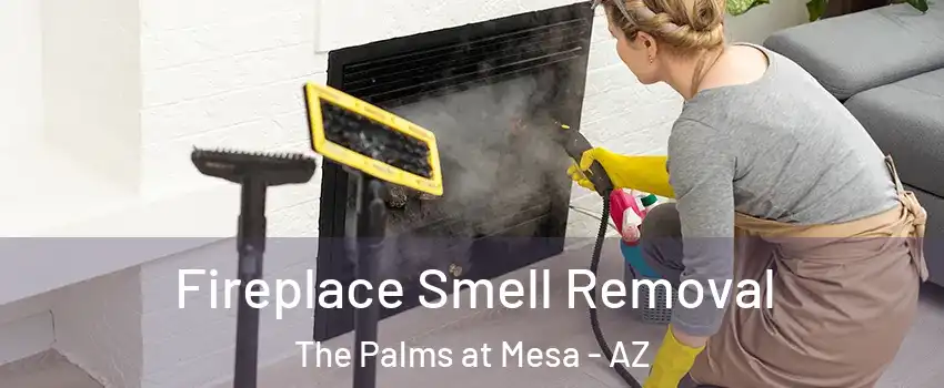 Fireplace Smell Removal The Palms at Mesa - AZ