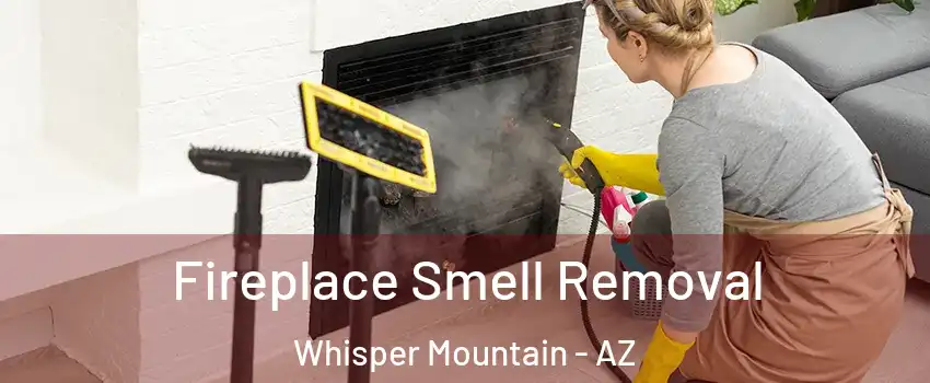 Fireplace Smell Removal Whisper Mountain - AZ