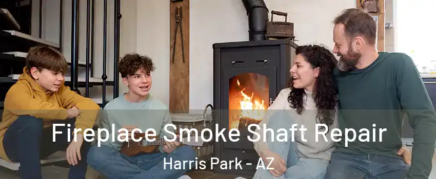 Fireplace Smoke Shaft Repair Harris Park - AZ