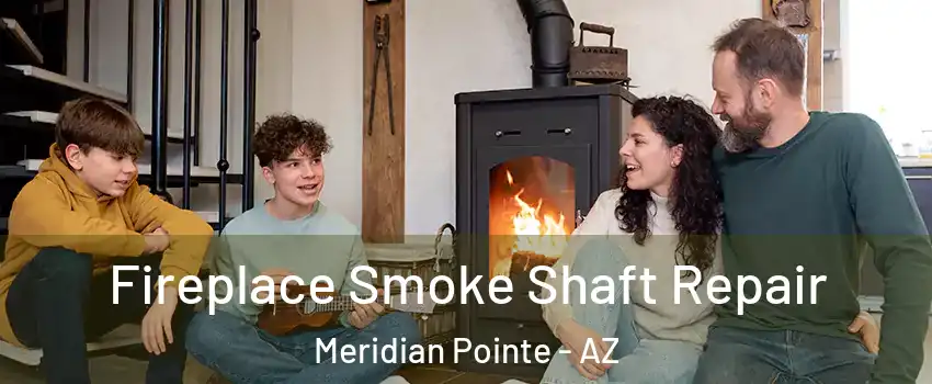 Fireplace Smoke Shaft Repair Meridian Pointe - AZ