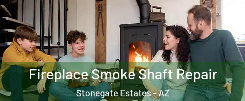 Fireplace Smoke Shaft Repair Stonegate Estates - AZ