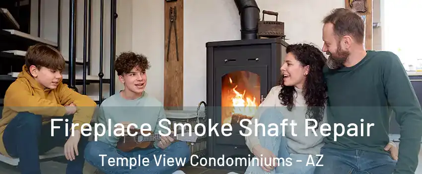 Fireplace Smoke Shaft Repair Temple View Condominiums - AZ