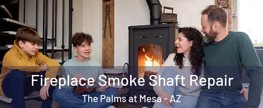 Fireplace Smoke Shaft Repair The Palms at Mesa - AZ