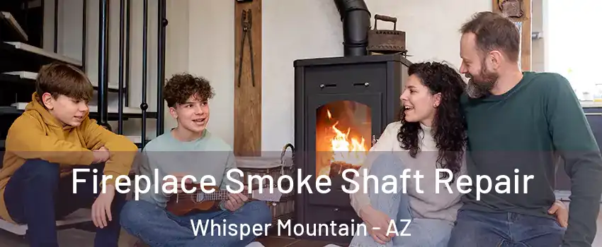 Fireplace Smoke Shaft Repair Whisper Mountain - AZ