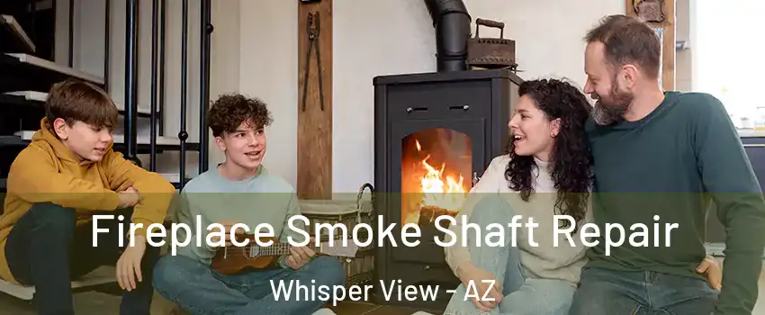 Fireplace Smoke Shaft Repair Whisper View - AZ