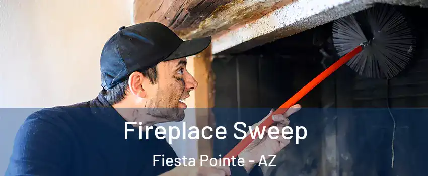 Fireplace Sweep Fiesta Pointe - AZ