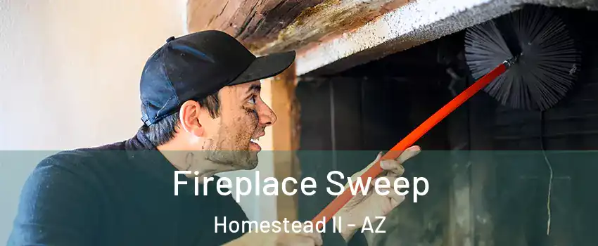 Fireplace Sweep Homestead II - AZ