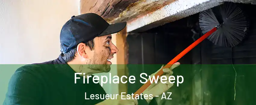 Fireplace Sweep Lesueur Estates - AZ