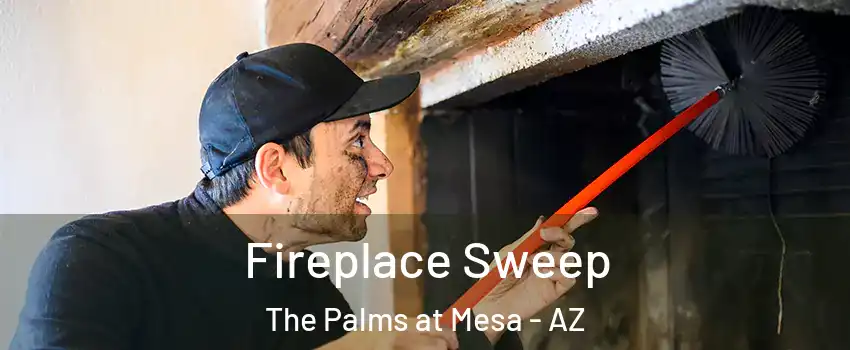 Fireplace Sweep The Palms at Mesa - AZ