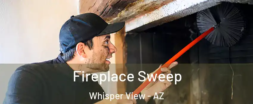 Fireplace Sweep Whisper View - AZ