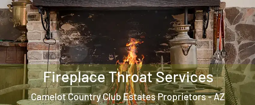 Fireplace Throat Services Camelot Country Club Estates Proprietors - AZ