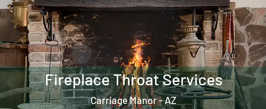 Fireplace Throat Services Carriage Manor - AZ