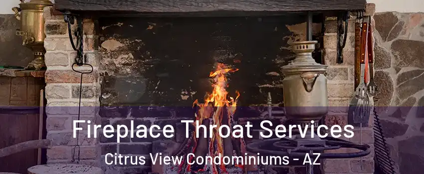 Fireplace Throat Services Citrus View Condominiums - AZ