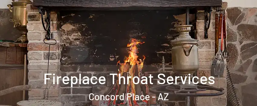 Fireplace Throat Services Concord Place - AZ