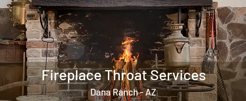 Fireplace Throat Services Dana Ranch - AZ