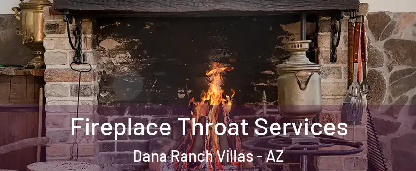 Fireplace Throat Services Dana Ranch Villas - AZ